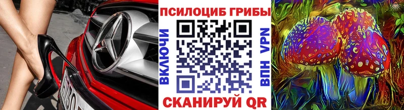 продажа наркотиков  Лакинск  Псилоцибиновые грибы GOLDEN TEACHER 